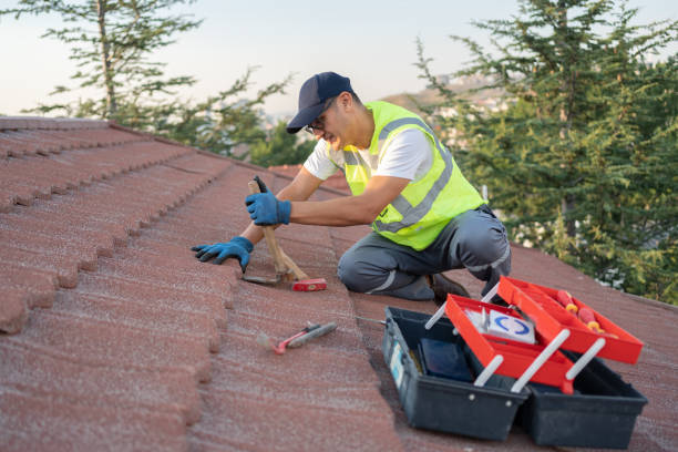 Quick and Trustworthy Emergency Roof Repair Services in Pierre, SD
